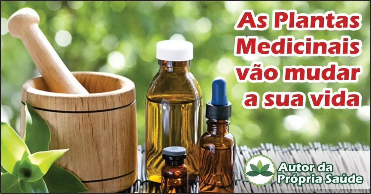 Curso Fitoterapia Daniel Forjaz: Baixar Autor da Própria Saúde