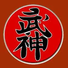 Baixar Ninjutsu Ninja Faixa Preta Curso Completo Download