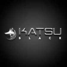 Download Curso Katsu Black Belt 2021: Domine o Day Trading