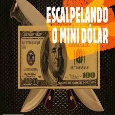 Curso Pio Trade: Baixar Estratégias Scalping Mini Dolar