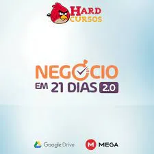 Baixar Negocio de 21 Dias 2.0 Caio Ferreira – Curso Completo