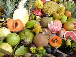 Nutrição Máxima: Baixar Guia Essencial de Alimentação