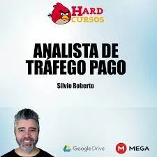 Download Analista de Tráfego Pago Silvio Roberto: Domine Anúncios!