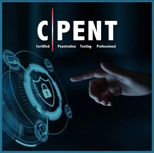 Baixar C|PENT: Certificação Profissional em Testes de Invasão Completo