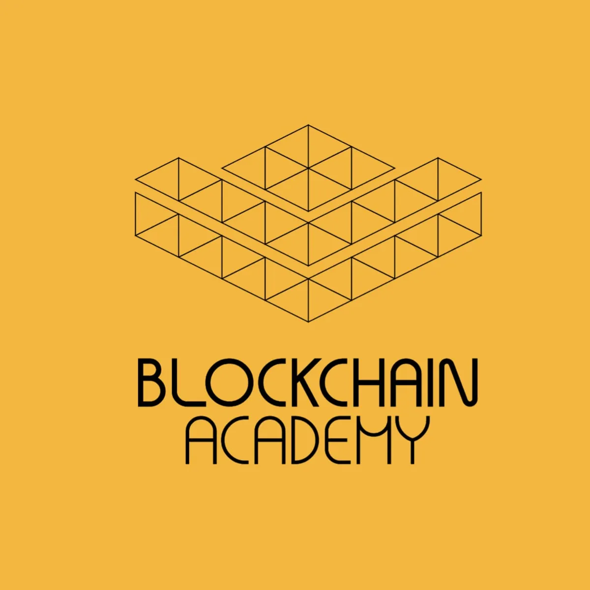 Blockchain Immersion: Baixar Curso Completo da Blockchain Academy