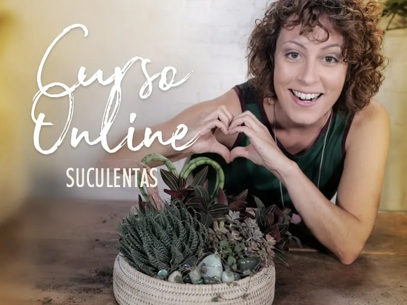 Baixar Curso Arranjos com Suculentas Carol Costa: Download Completo