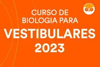 Curso Fio de Malha Blush Crochet Luiza Download Completo